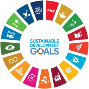 sustainable dev goals