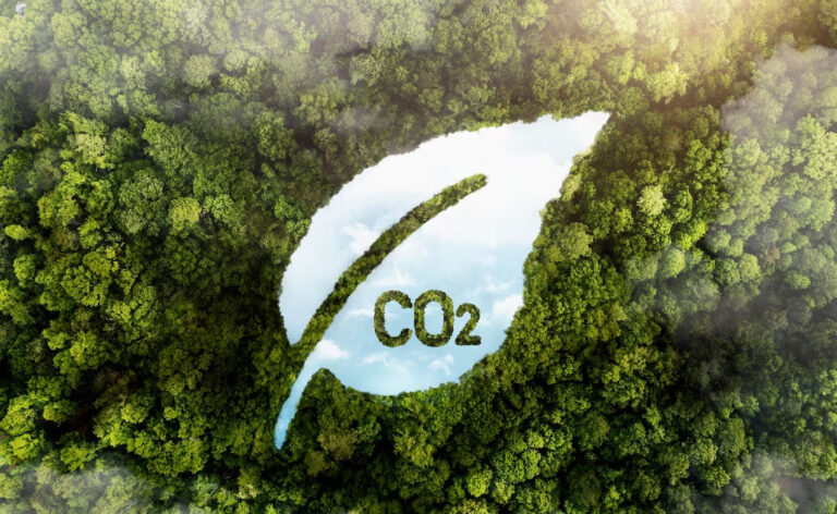 Carbon Offsetting